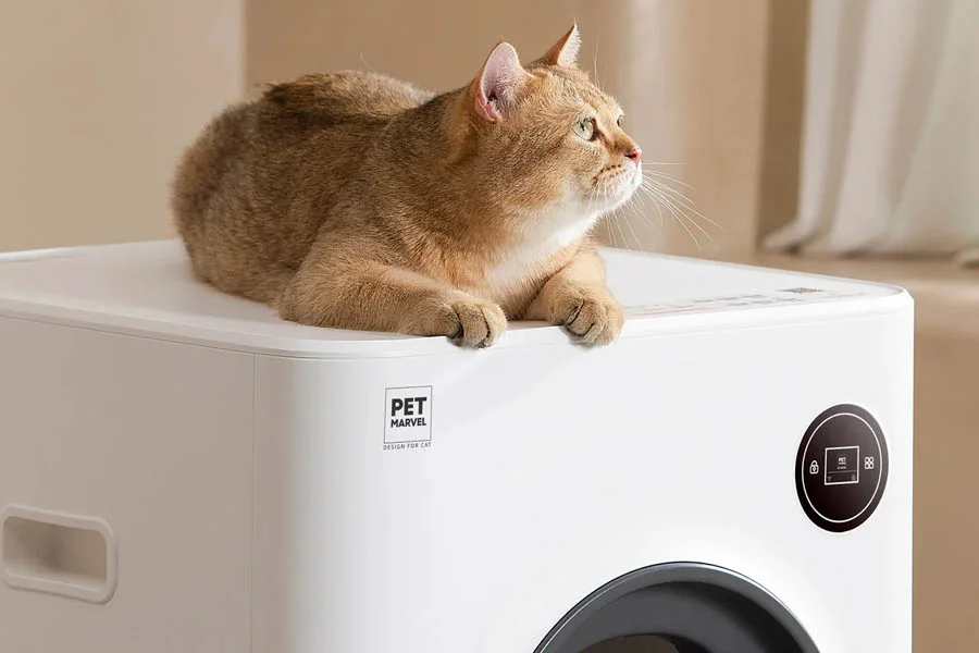 self cleaning kitty litter box reviews